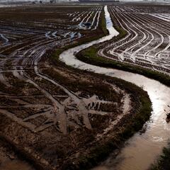 Las imágenes más emocionantes de la DANA