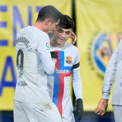 Un setter llamado Pedri