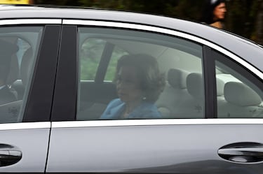Qu¨¦ parentesco hay entre Teresa Urquijo y el rey em¨¦rito Juan Carlos I