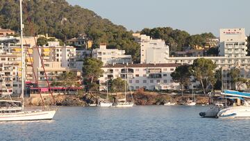 Rising summer temperatures are behind a wave of snake sightings, with experts urging calm but caution.