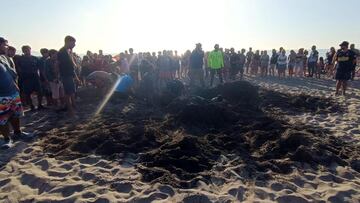 Su familia lo enterró en la playa por juego, quedó atrapado en la arena y tuvo que ser rescatado con retroexcavadora en Chile