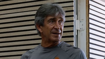 Manuel Pellegrini.