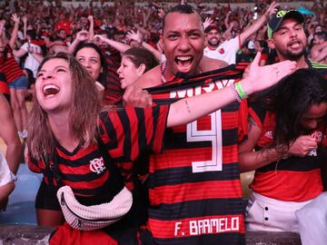 Flamengo fans celebrate (Brazil). EFE/ Fabio Motta