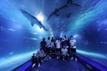 El Real Madrid visita L'Oceanogràfic