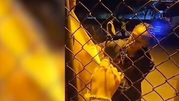 Lo hizo mientras firmaba autógrafos.