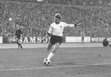 Profesional entre 1971 y 1990.