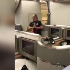 Shakira y Piqué en avión y la azafata baila el 'Waka Waka'