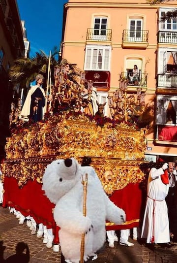 Los mejores memes del oso del cuello roto de la cabalgata de Reyes de Cádiz