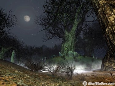 ESDLA Online: El Asedio de Mirkwood, Impresiones
