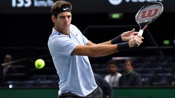 Del Potro-Isner en vivo online: ATP Masters Paris