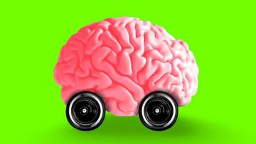 La neurociencia y los autos: ¿Qué tan ligadas están una de la otra?