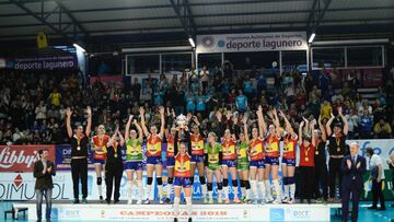 El Minis de Arluy Logroño se lleva la Copa ante un Arona luchador