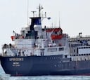 Atraca en Libia un barco con 2.900 vacas y deciden su fatídico destino