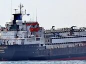 Atraca en Libia un barco con 2.900 vacas y deciden su fatídico destino