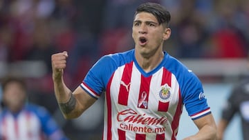 Alan Pulido se va de Chivas, fue puesto transferible