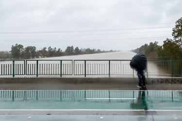 El río Guadalquivir desbordado por la zona de la Cartuja en Sevilla.