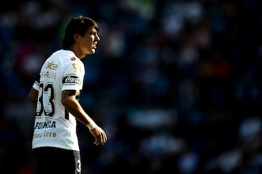 Así como el ‘Gato’ Ortíz, otros gatos en el deporte