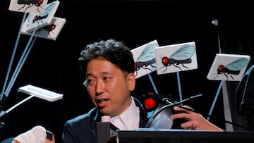 This year’s Ig Nobel Prizes honored quirky science, from garlic-scented breast milk and striped cows to tipsy bats and chatty linguists.