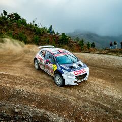 Rally del Bío Bío promete emoción y vértigo de principio a fin