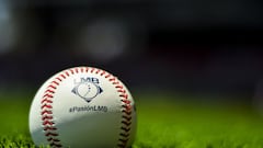 Pelota de beisbol, LMB