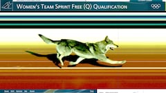 Meet Nazgul: The Olympic dog who almost won a race