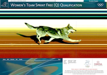 La historia de Nazgul, el perro husky que ‘compitió’ en Milán-Cortina 2026