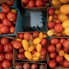 What is the Supplemental Nutrition Assistance Program (SNAP)?