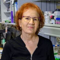 Margarita del Val lanza un inquietante aviso