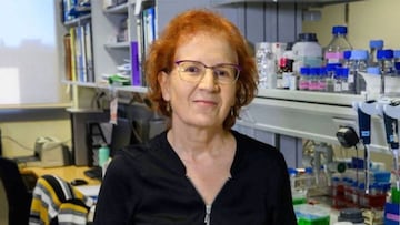 Margarita del Val lanza un inquietante aviso