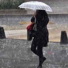 Tormenta tropical Celia: pronósticos y estados que serán afectados