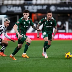 Los armeros sacan la cabeza