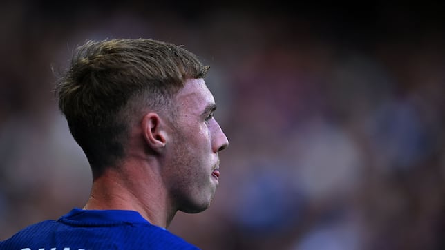 Palmer no es suficiente