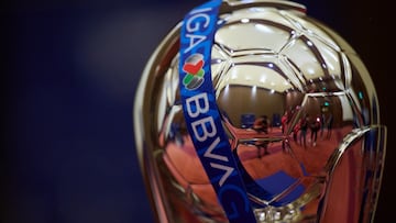 Tigres vs Chivas: Horario, canal de TV; cómo y dónde ver la final de Liga MX en USA