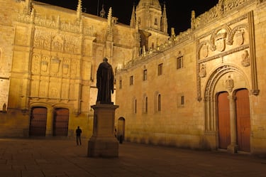 Es la cuarta más antigua de Europa y la primera universidad reconocida en España. En 1218, Alfonso IX de León, le otorgó la categoría de “Studium Generale” (es la institución de la que surgieron las primeras universidades en la cristiandad occidental). En 1254, el rey Alfonso X el Sabio dotó a la universidad de unos estatutos que detallaban su sistema de financiación y creaban nuevas cátedras y el cargo de bibliotecario. La de Salamanca fue la primera en contar con una biblioteca pública. Sus enseñanzas, originariamente, se centraban en el derecho canónigo y el derecho civil. Entre sus muchos alumnos ilustres se encuentran Abraham Zacut, Francisco de Vitoria, Fray Luis de León, Antonio de Nebrija, Luis de Góngora, Pedro Calderón de la Barca, Miguel de Unamuno, Adolfo Suárez y Carmen Martín Gaite.