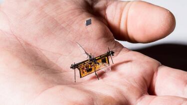 Insectos robot con energía láser, el ejército invisible del futuro