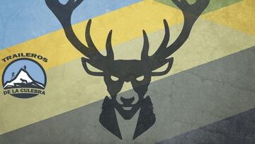 Muy Silvestre Codesalina