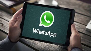 La versión de WhatsApp para iPad y tablets Android, casi lista