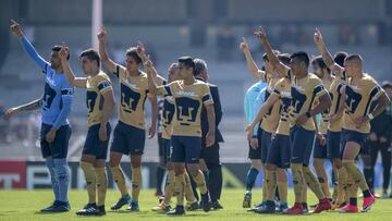 Pumas, Liga MX