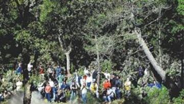 <b>VENTAJA. </b>Loeb tiene a Solberg a más de medio minuto.