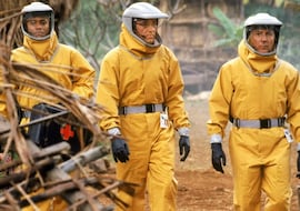 Las 30 mejores películas sobre catástrofes de la historia del cine y dónde verlas