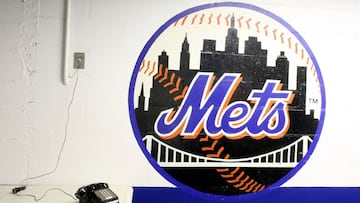 Tras la adquisición de los Mets por parte de Steve Cohen en esta temporada baja Porter, de 41 años, asumió las riendas de la gerencia general.