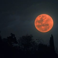 Revelan la fecha en la que se podrá observar el Eclipse lunar total desde Chile en 2025