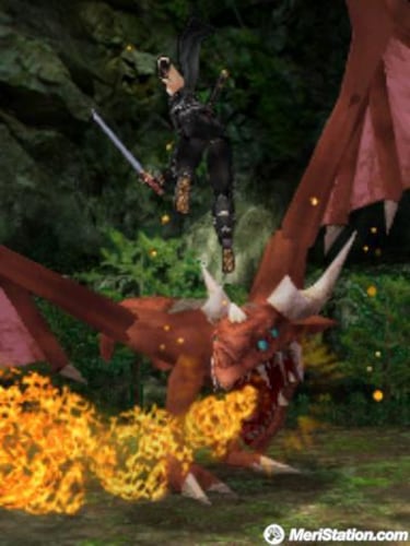 Ninja Gaiden Dragon Sword, Impresiones