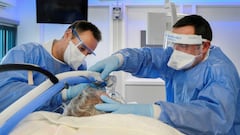 Is Medicare going up 2022?