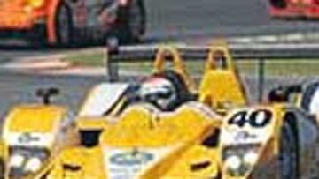 Forman equipo con Amaral.