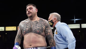 Julia Lemus, expareja de Andy Ruiz, ha acusado al boxeador de abuso sexual y ha solicitado una orden de restricci¨®n temporal.