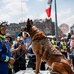 ¿Qué es un simulacro nacional y cuáles son las medidas a aplicar desde casa?