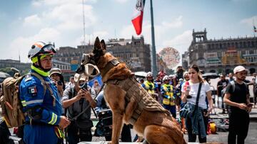 ¿Qué es un simulacro nacional y cuáles son las medidas a aplicar desde casa?