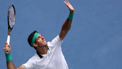 Del Potro cae en Cincinnati