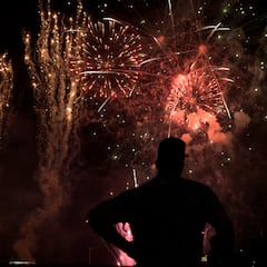 Estos son los mejores consejos para cuidar a tus mascotas del ruido de la pólvora durante fin de año